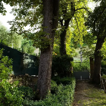 Augusta Fiastra